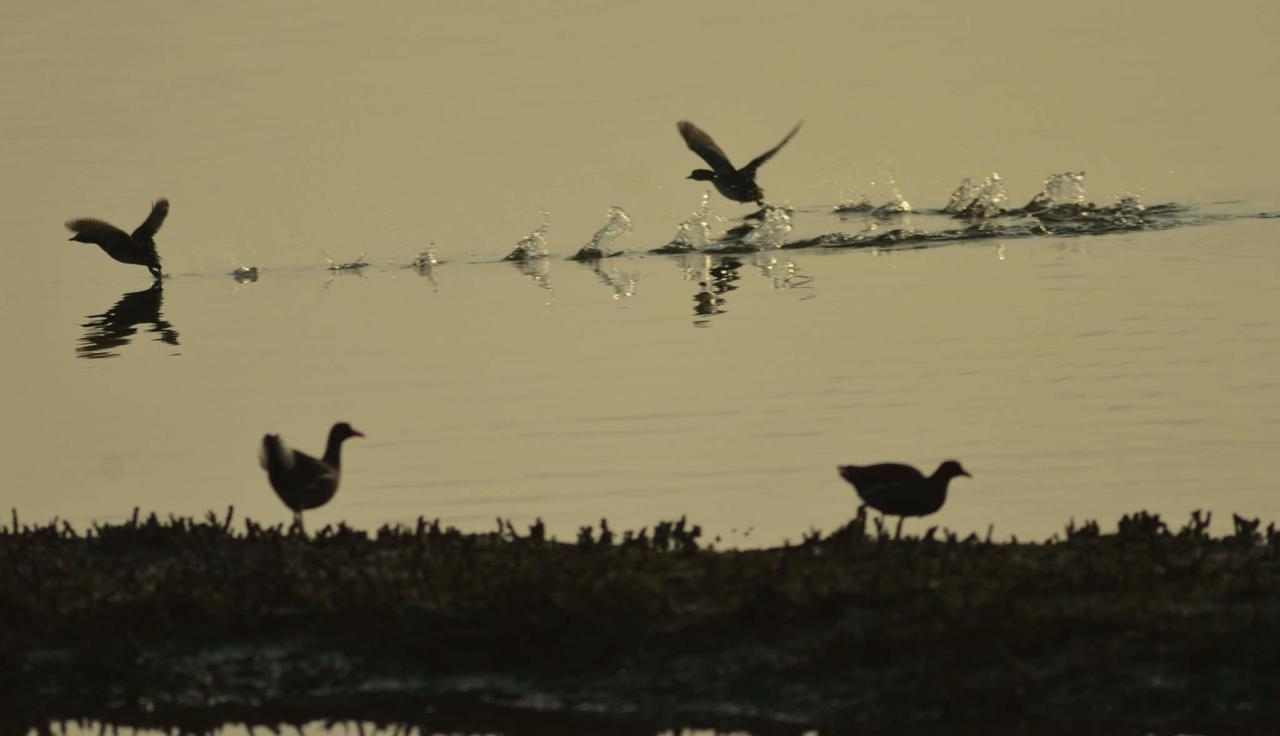 Апартаменты Water Bird Family Тоучэн Экстерьер фото